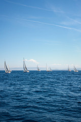 Regatta in the Adriatic sea