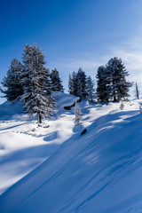 verschneite Berglandschaft im Winter