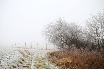 Beautiful frozen landscape. Extreme winter in Slovakia. Frozen trees. 