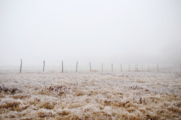 Beautiful frozen landscape. Extreme winter in Slovakia. Frozen trees. 