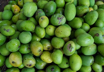 green mangoes in the market