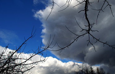 Clouds are almost black against a bright blue sky before a strong thunderstorm