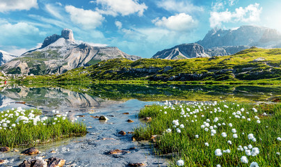 Awesome Nature Landscape. Alpine lake with crystal clear water and frash grass and flowers. Perfect Blue sky and mountains peaks. Incredible view of Dolomites Alps. Tre Cime di Lavaredo National park - obrazy, fototapety, plakaty