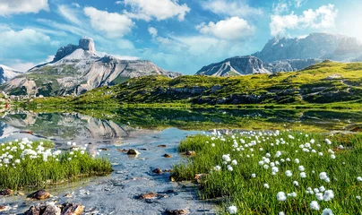 Tuinposter Awesome Nature Landscape. Alpine lake with crystal clear water and frash grass and flowers. Perfect Blue sky and mountains peaks. Incredible view of Dolomites Alps. Tre Cime di Lavaredo National park © jenyateua