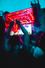 Fototapeta premium Crowd at a music festival.