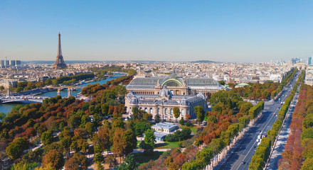 Aerial view of Grand Palais des Champs-Élysées and Paris cityscape