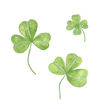A set of hand drawn watercolor green shamrock leaves, a symbol of Ireland