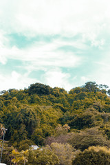 Obraz premium Nature in Panama