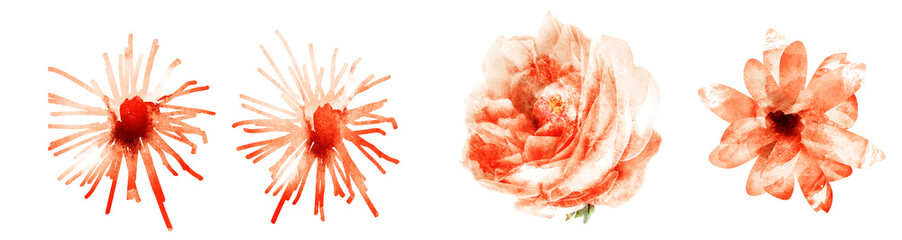 Watercolor flowers on white. Set