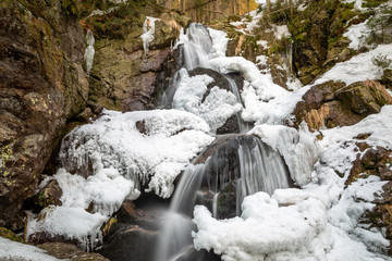 iced waterfall in forest