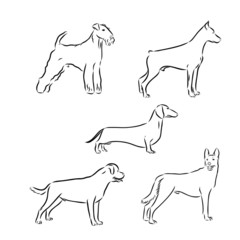 Dog sketch set 