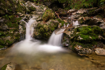 waterfall in forest