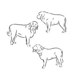 silhouette of a dog, mastiff 