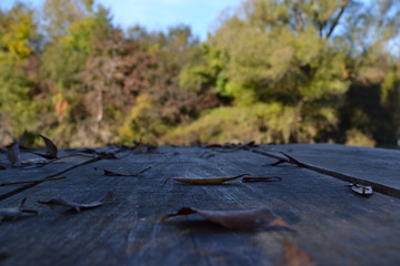 Fallen leaves on a wooden desk on a riverside in autumn