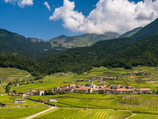 Fototapeta na wymiar Summer Switzerland valley landscape with vineyards at foreground