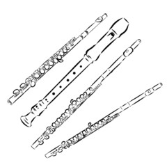 flute isolated on white background © Elala 9161