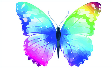 Rainbow Butterfly Vector Isolated on white background.