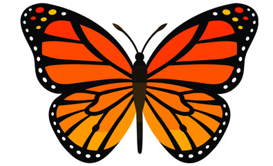 Vector moth Isolated on white background.