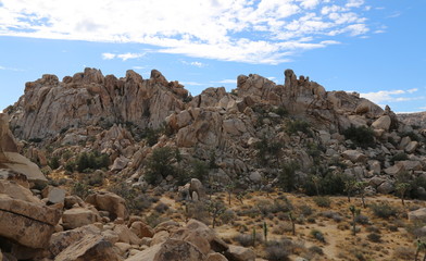 Joshua Tree National Park 