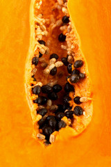 Carica Papaya close-up, close-up photo.