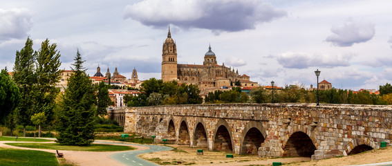 Salamanca Cathedral and roman bridge. Castile and Leon, Spain