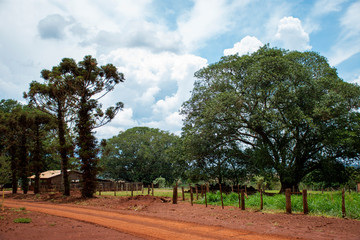 farm in Mato Grosso do Sul