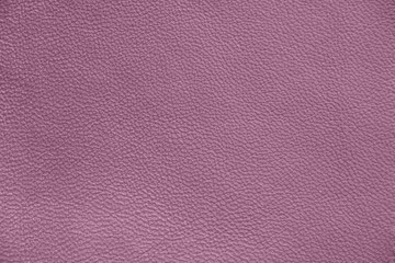 Natural leather. Violet leather texture.