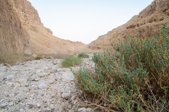 Valley In The Mountains Of Judaean Desert. Dead Sea Area, Israel.