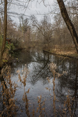 Fototapeta na wymiar The pond in the park with trees