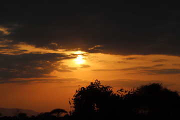 Sonnenuntergang in Tsavo East - Kenia