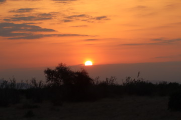 Fototapeta na wymiar Sonnenuntergang Tsavo East