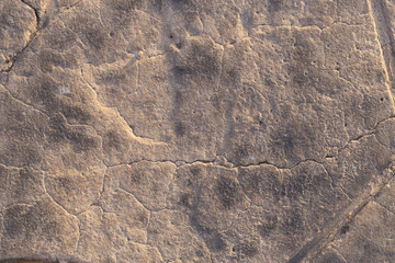 Concrete coating. Cracked stone background. Cement slab. The spotted skin of an ancient dinosaur.