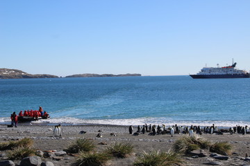 Südgeorgien Berglandschaft im Sonnenschein - Antarktis Kreuzfahrt