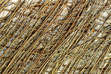 detail of fibre from palm tree