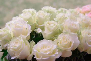 bouquet of flowers