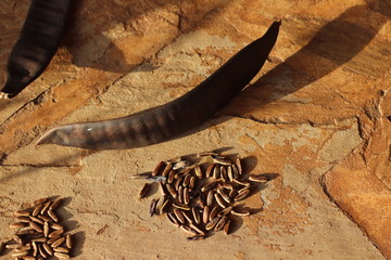 Frucht Kenia