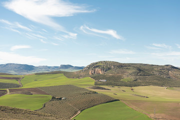 Vista de los campos agrícolas que rodean el pueblo de Teba, en la provincia de Málaga, España.