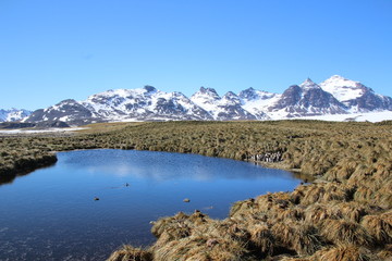 Naklejka premium Südgeorgien Berglandschaft im Sonnenschein - Antarktis Kreuzfahrt