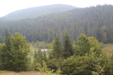 mountain walk, green hills in summer