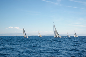 Regatta in the Adriatic sea