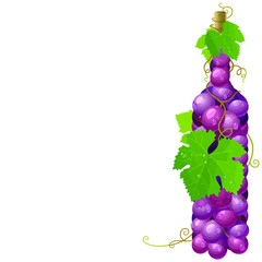 Vector grape wine in the shape of a bottle White background.