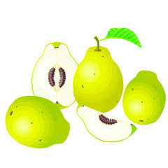 vector set of pears isolated on white background.