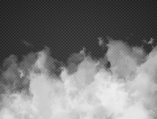 Fog smoke cloud isolated on transparent background. White smog effect closeup. Vector illustration