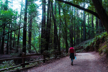 Obraz premium The workout