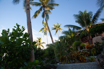 Beautiful seascape with palms on tropical island 
