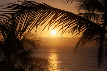 Beautiful seascape with palms on tropical island 
