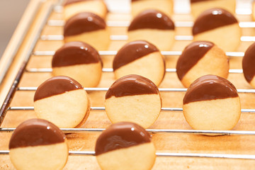 round cookies with chocolate after baking