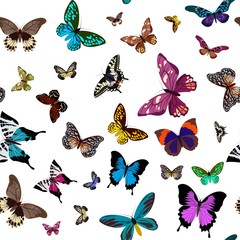 Seamless colorful pattern design with butterflies. Vector illustration