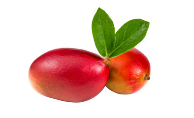 .two mangoes with leaves on a white background