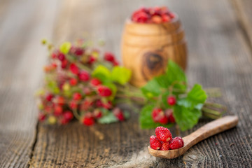 Fresh Wild strawberries on wooden background